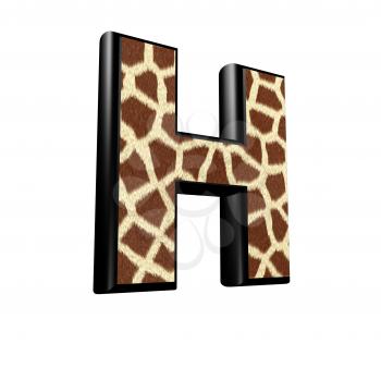 3d letter with giraffe fur texture - H