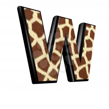 3d letter with giraffe fur texture - W