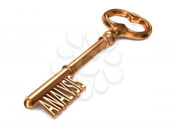 Analysis - Golden Key on White Background. 3D Render. Business Concept.