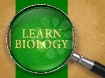 Learn Biology through Magnifying Glass on Old Paper with Green Vertical Line Background. 3D Render.