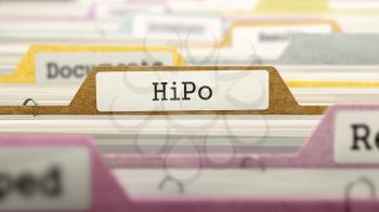 HiPo Concept on Folder Register in Multicolor Card Index. Closeup View. Selective Focus. 3D Render.