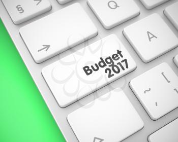 Online Service Concept with White Enter White Key on Keyboard: Budget 2017. Online Service Concept: Budget 2017 on the Modernized Keyboard lying on Green Background. 3D.