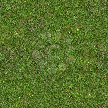 Green Spring Grass with Flowers on the Ground. Seamless Tileable Texture.