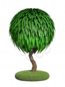 Decorative Tree with Spherical Krone Isolated on White Background.
