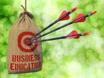 Business Education - Three Arrows Hit in Red Target on a Hanging Sack on Green Bokeh Background.