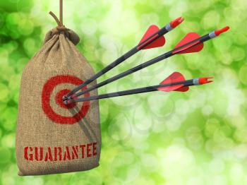 Guarantee - Three Arrows Hit in Red Target on a Hanging Sack on Natural Bokeh Background.