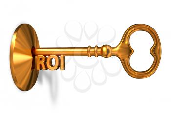 ROI - Golden Key is Inserted into the Keyhole Isolated on White Background