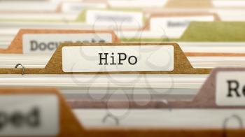 HiPo Concept on File Label in Multicolor Card Index. Closeup View. Selective Focus. 