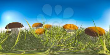 mushrooms in a sunny meadow HDRI map. 3d illustration