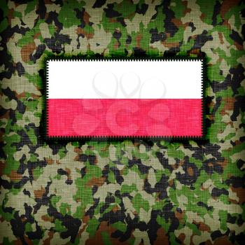 Amy camouflage uniform with flag on it, Poland