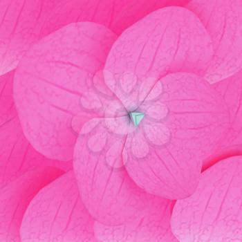 Flowers beautiful petals pink background