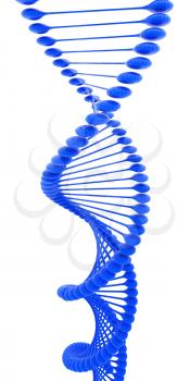 DNA structure model on a white background