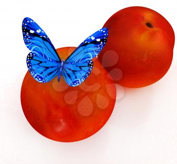 Blue butterflys on a fresh peaches on a white background 