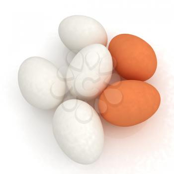 Chicken Eggs on a white Background
