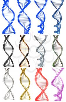 Set of DNA structure model on a white background