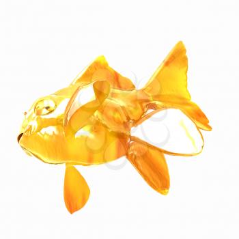 Gold fish. Isolation on a white background
