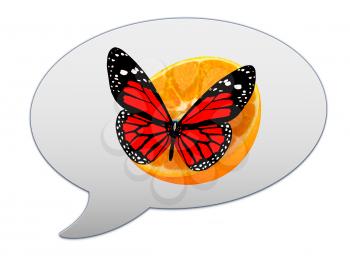messenger window icon and Red butterflys on a half oranges
