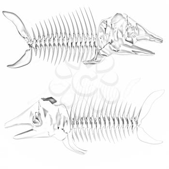 3d metall illustration of fish skeleton on a white background