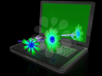 cosmos flower on laptop on a white background
