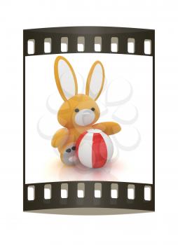 soft toy hare and colorful aquatic ball on a white background. The film strip