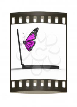 butterfly on a notebook. The film strip