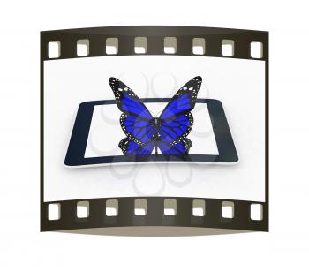 butterflies on a phone on a white background. The film strip