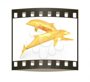 golden dolphin on a white background. The film strip