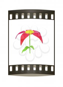 Flower icon on a white background. The film strip