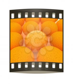 Glossy ripe oranges. The film strip