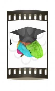 graduation hat on brain. The film strip