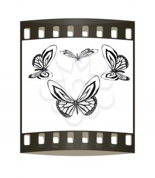 fancy butterflies. The film strip