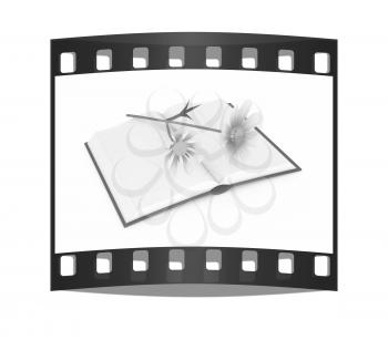 Wonderful flower cosmos on the exposed book. The film strip