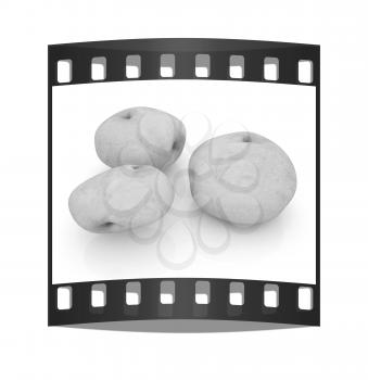potato on a white background close up. The film strip