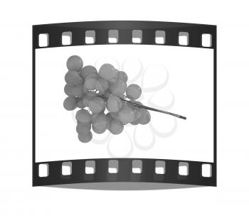 Grapes isolated on white background. The film strip