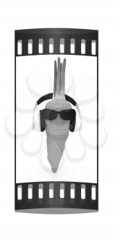carrot with sun glass and headphones front face on a white background. The film strip