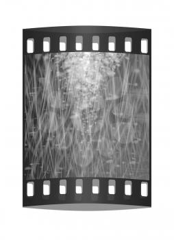 Winter or Christmas style background. The film strip