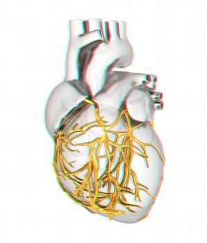 Human heart. 3D illustration. Anaglyph. View with red/cyan glasses to see in 3D.