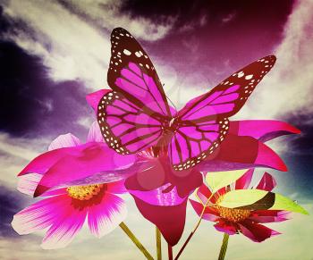 Beautiful Cosmos Flower and butterfly against the sky. 3D illustration. Vintage style.