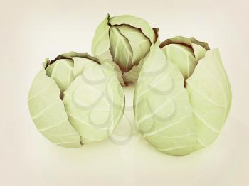 Green cabbage on a white background