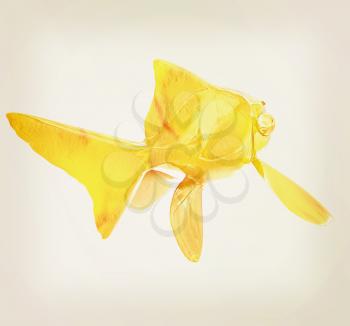 Gold fish. Isolation on a white background. 3D illustration. Vintage style.