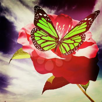 Beautiful Flower and butterfly against the sky . 3D illustration. Vintage style.