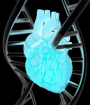 DNA and heart. 3d illustration