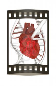 DNA and heart. 3d illustration. The film strip