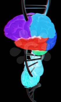 DNA, brain and heart. 3d illustration. Anaglyph. View with red/cyan glasses to see in 3D.