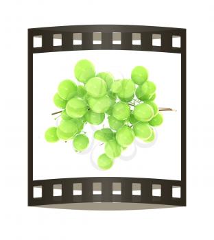 Healthy fruits Green wine grapes isolated white background. Bunch of grapes ready to eat. 3d illustration. The film strip.