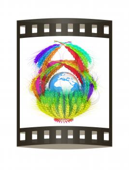 A colorful basket of wheat for Easter or Thanksgiving. Global concept with the earth ball inside. 3d render. Film strip.