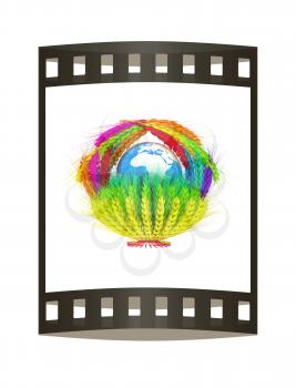 Colored basket of the ears of wheat. Global concept with ball globe Earth. 3d render. Film strip.
