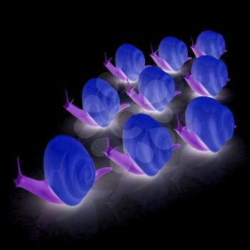 Racing snails. 3D illustration. On a black background.