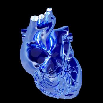 Golden anatomical heart. 3d render. On a black background.