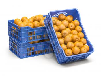 Orange fruit in plastic fruit crates isolated on white background. 3d illustration